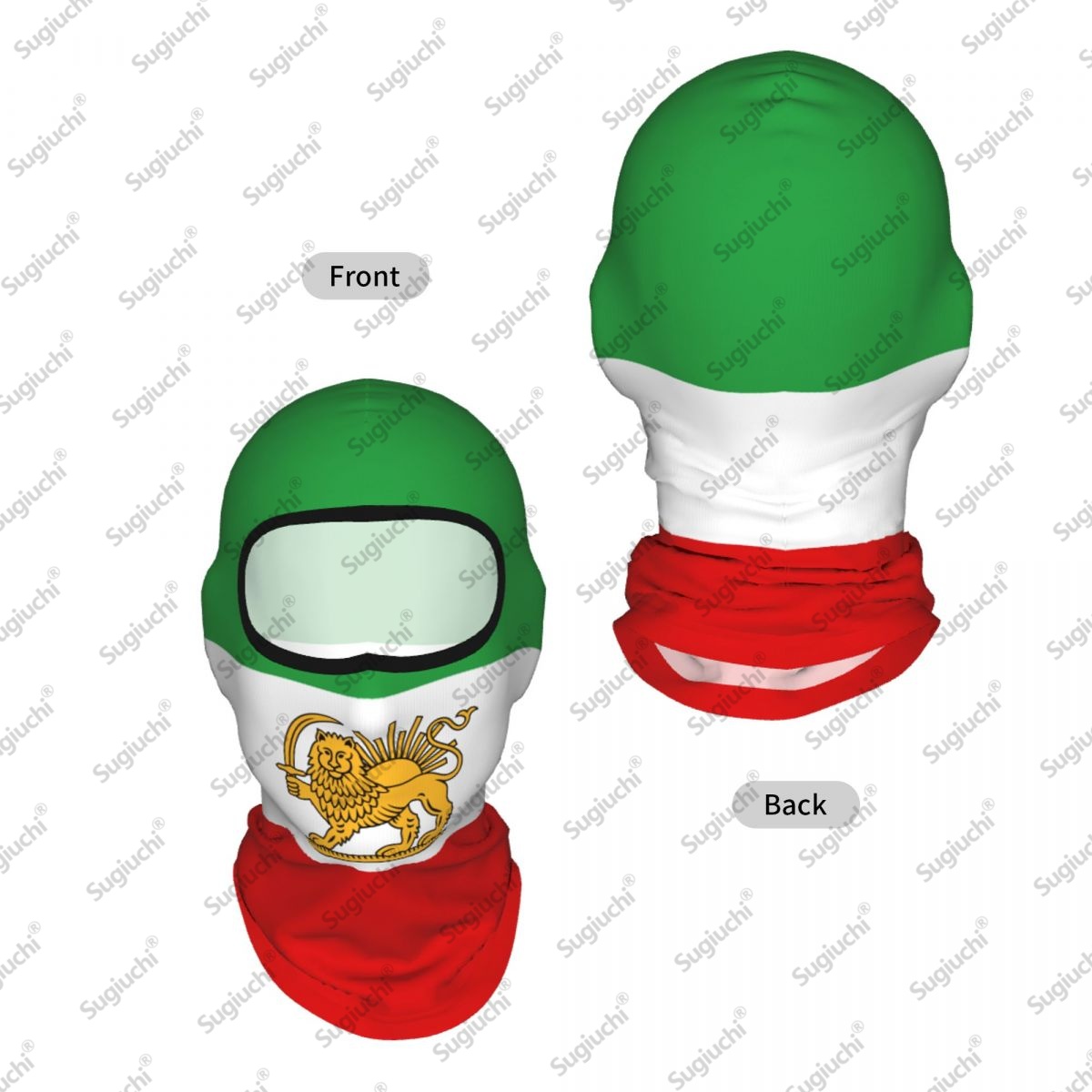 Iran Persia Lion Cycling Balac - огляд і ціна Helmet Full Face